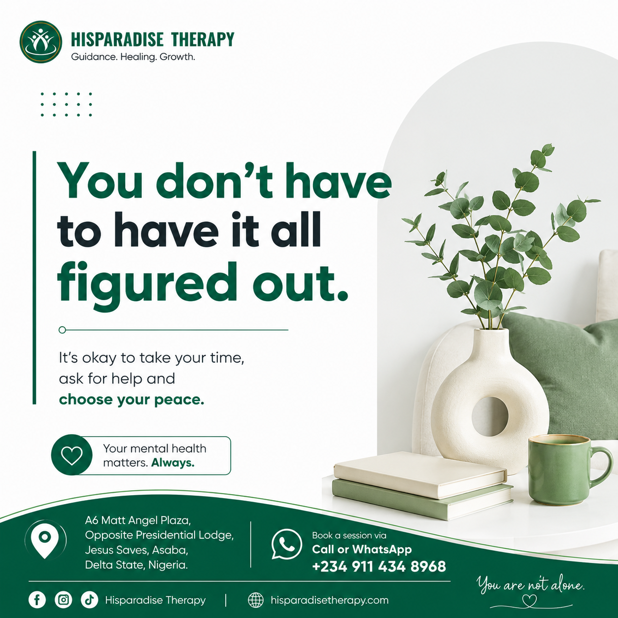 Hisparadise Therapy Asaba logo